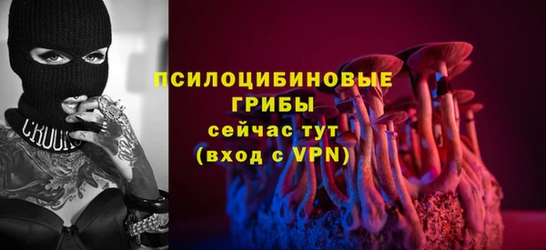СК Алексин