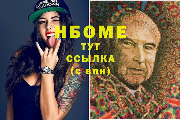 СК Алексин