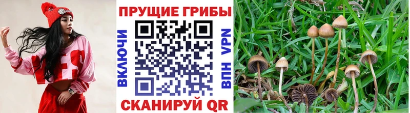 Псилоцибиновые грибы MAGIC MUSHROOMS  Купить где  Шумерля 